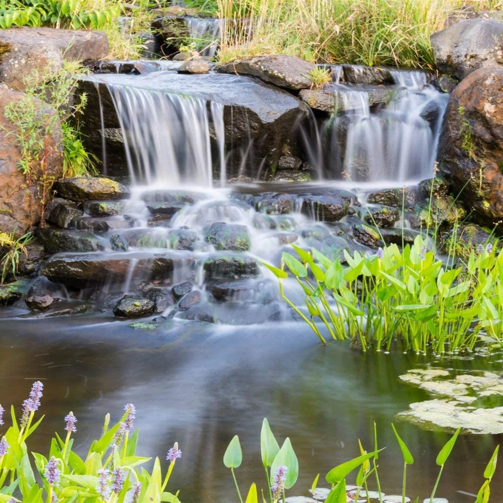 HALF OFF PONDS Piranha Series 10,500 GPH Direct Drive Submersible Pump for moisture Gardens, Ponds and Waterfalls - PN-10500