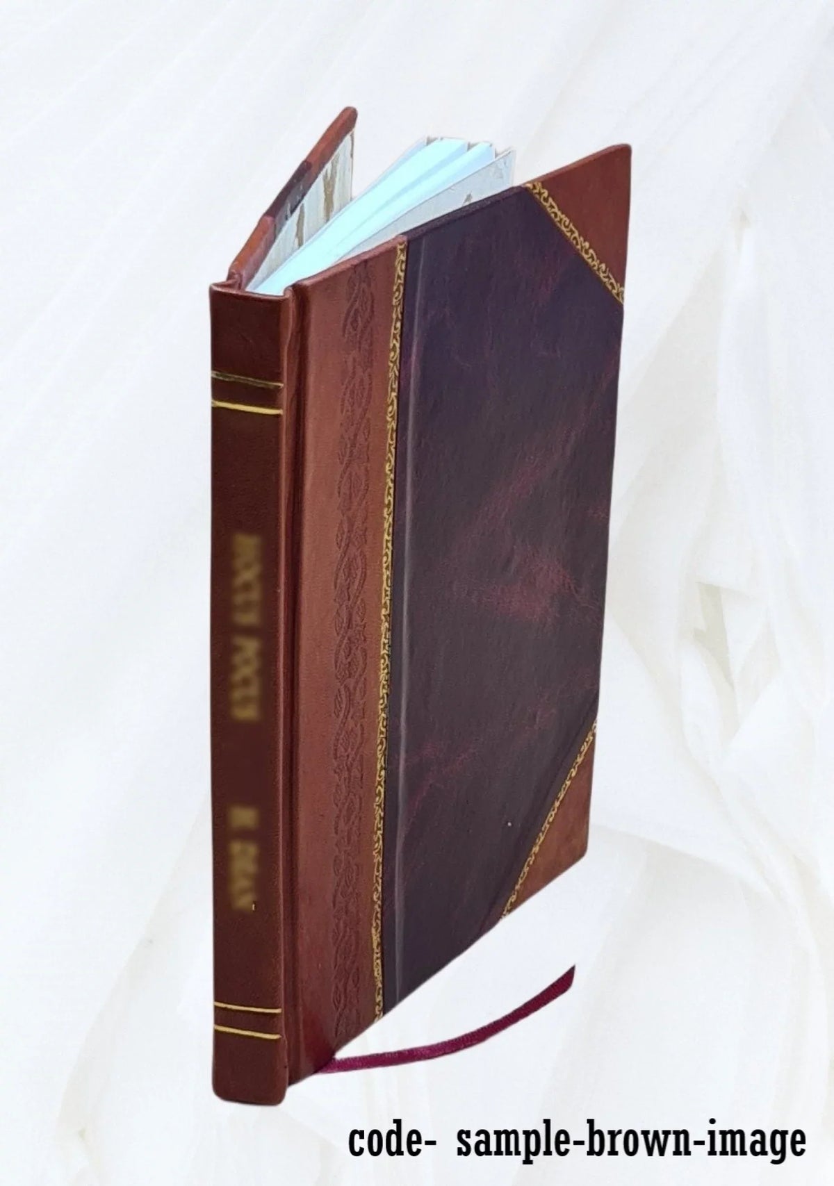 Protestants awake 1893 [Leather Bound]