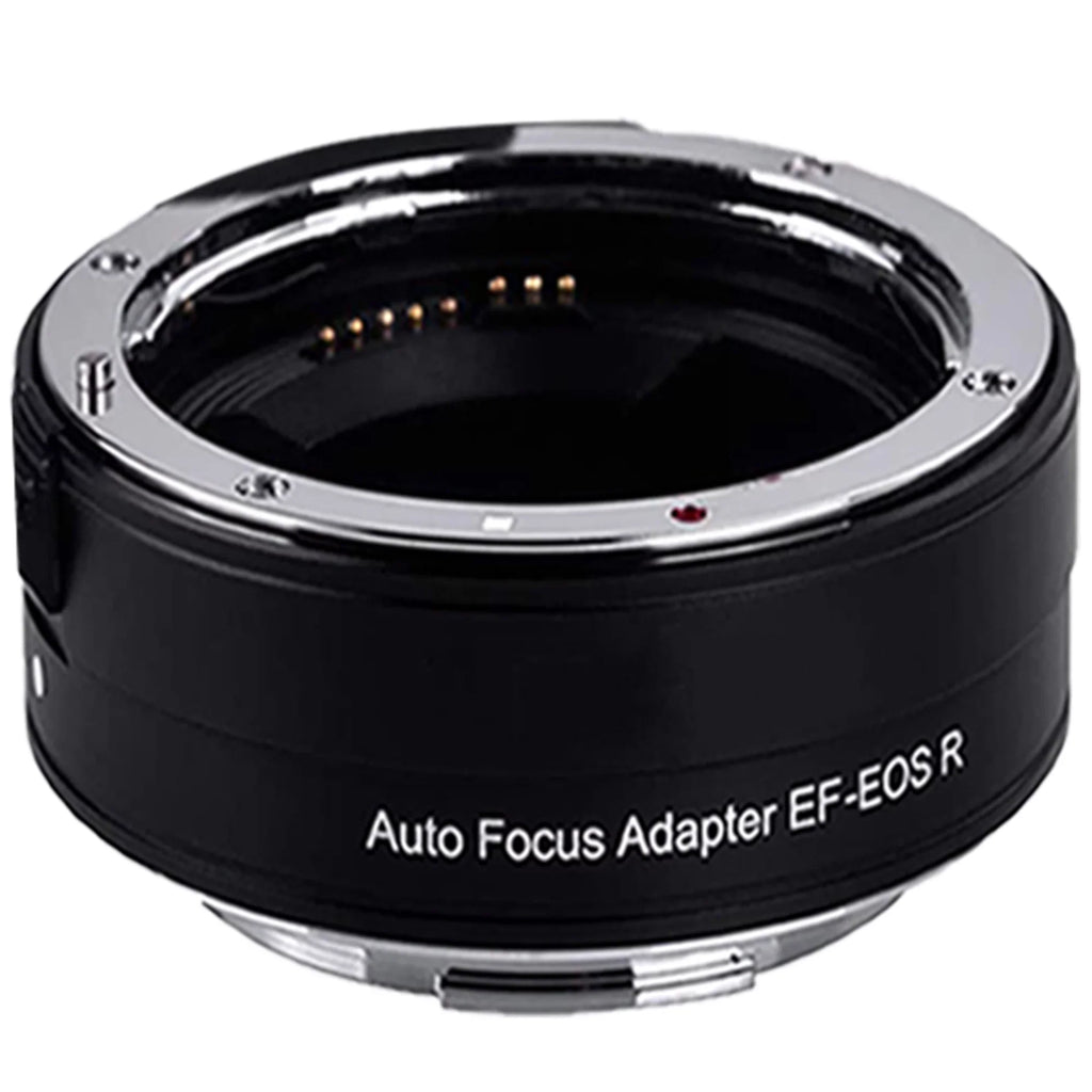 EOS R6 Mirrorless Digital Camera (Body Only) with Mount Adapter + Microphone + 2 Pack SanDisk 128GB + Case + ZeeTech Accessory