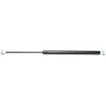 Lift Support For 1996-2002  4Runner Sport Utility Liftgate Left or Right