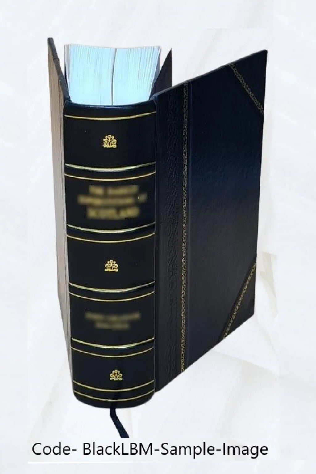 Ma. Taylori, J. Wolfii, J. Oratorum Græcorum quorum princeps est Demosthenes, quæ supersunt monumenta ingenii e bonis libris a se emendata, materia critica, commentariis integris H